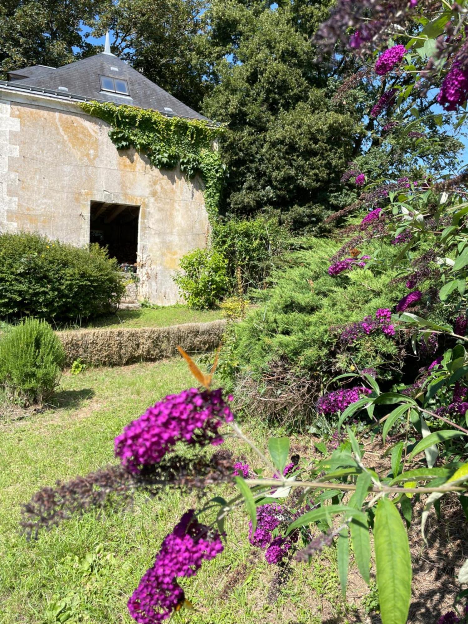 Chateau De La Huberdiere Nazelles-Negron